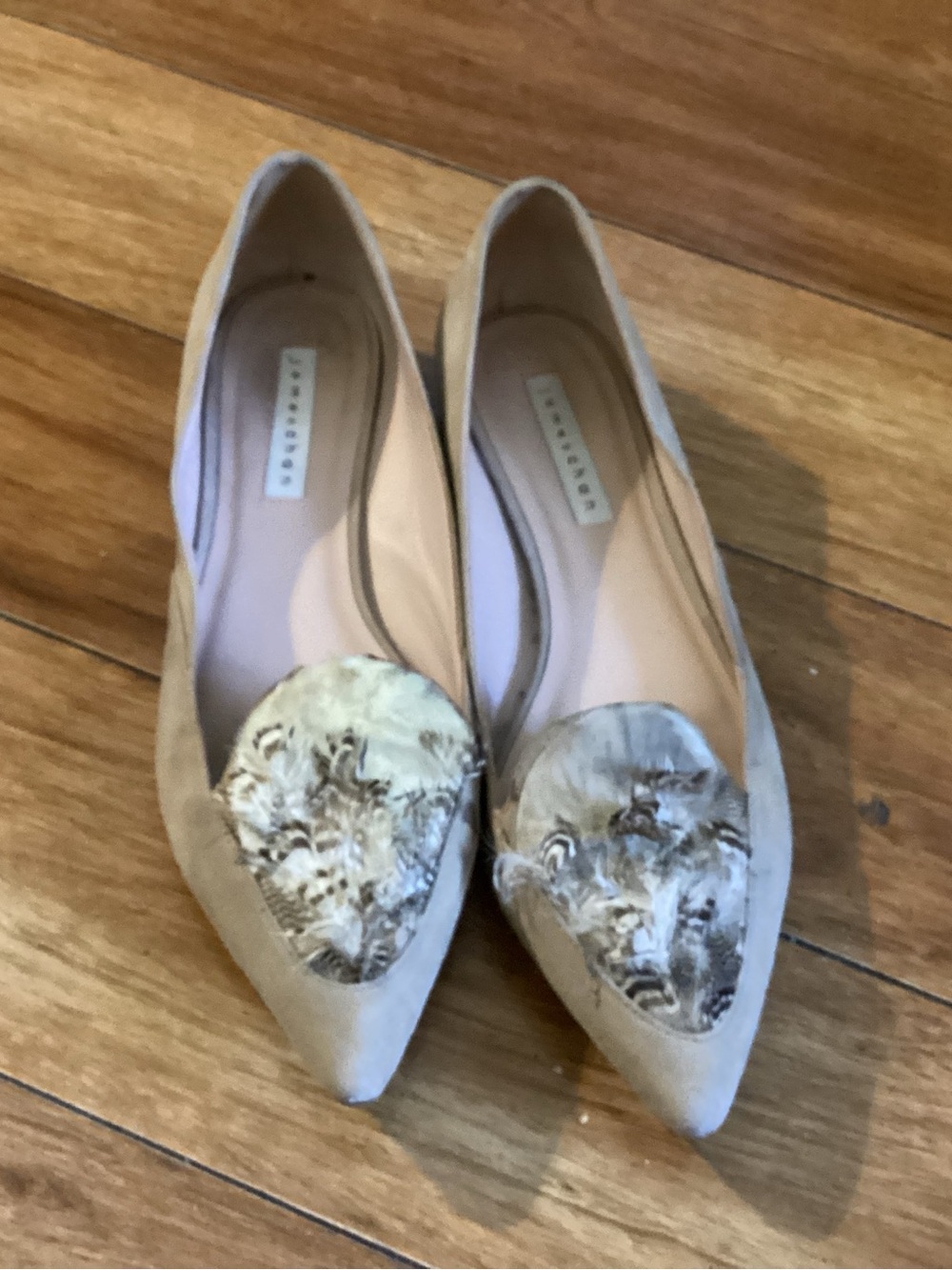 Women's James Chan Taupe Pointed-Toe Flats with Decorative Feather Appliqués 11